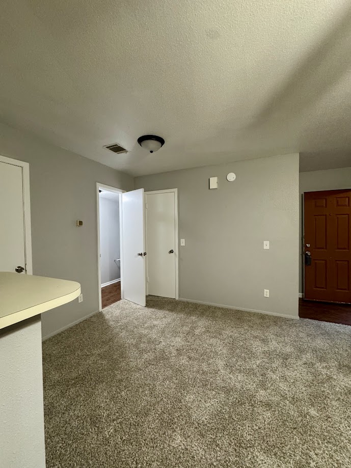 1305 West Villa Maria Road, Unit C107 Bryan, TX 77801 - Photo 19 of 19 Empty room featuring dark carpet and a textured ceiling