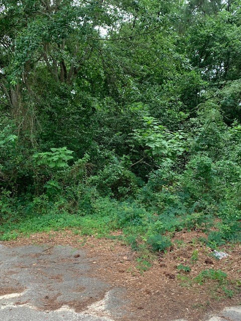 757 Maney Street Sumter, SC 29150 - Photo 2 of 5 151651_1