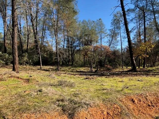 a view of a swimming pool with an outdoor space