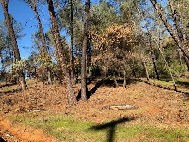 a view of outdoor space with chairs