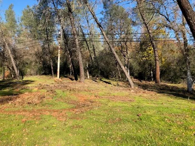 a view of a yard with trees