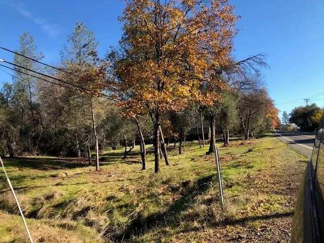 a view of a yard with trees