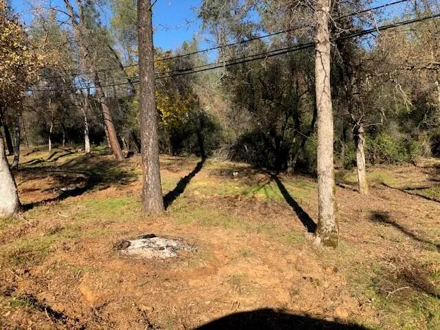 a view of a yard with wooden fence