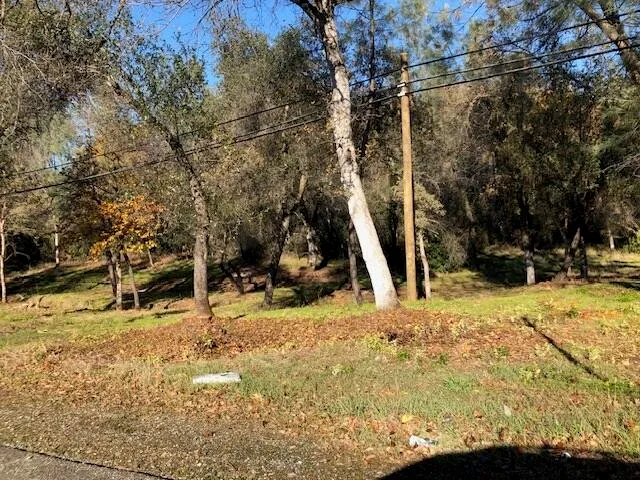 a view of a backyard with a tree