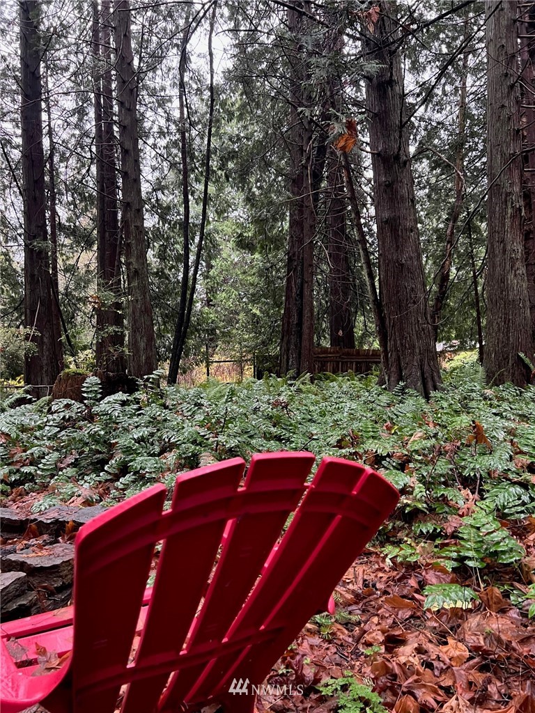 462 Moose Trail Point Roberts, WA 98281 - Photo 16 of 17 a view of outdoor space with trees