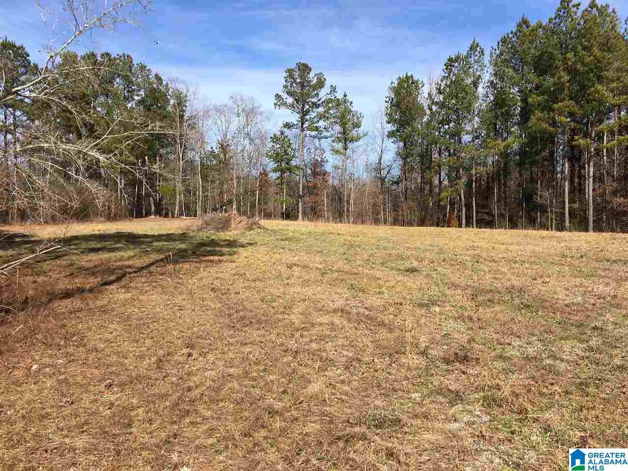 0 Shoal Creek Road, Unit 10 AC Ashville, AL 35953 - Photo 8 of 13