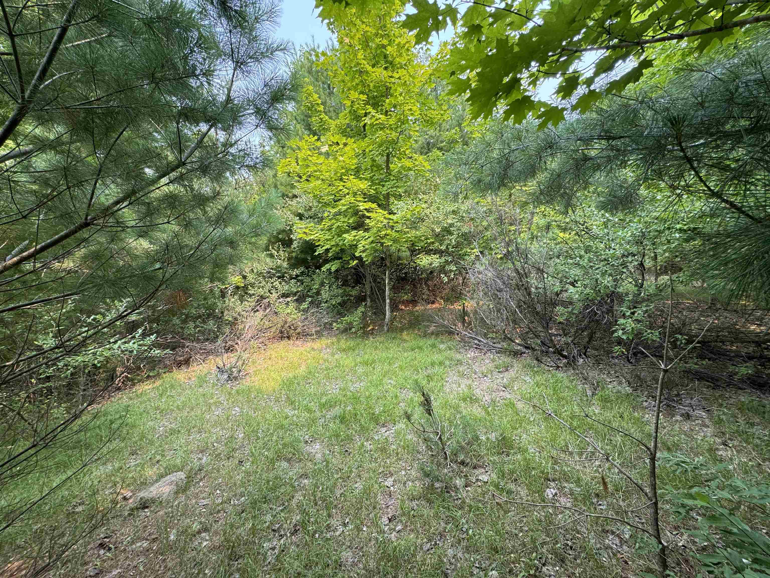 Lot #2 East Bellinger Road, Unit BELLINGER ESTATES Cedar, MI 49621 - Photo 12 of 19