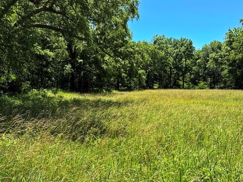 Tbd South 363 Road El Dorado Springs, MO 64744 - Photo 28 of 46