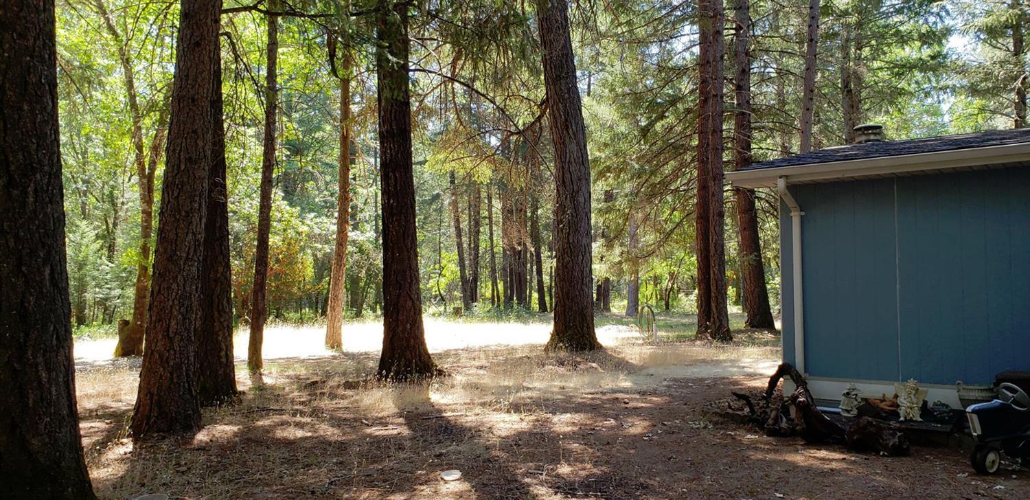 5045 Takilma Road Cave Junction, OR 97523 - Photo 11 of 28 Additional Photo