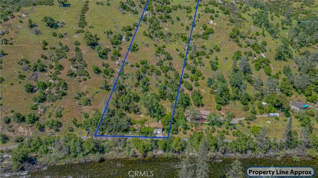 a view of a backyard with a tree