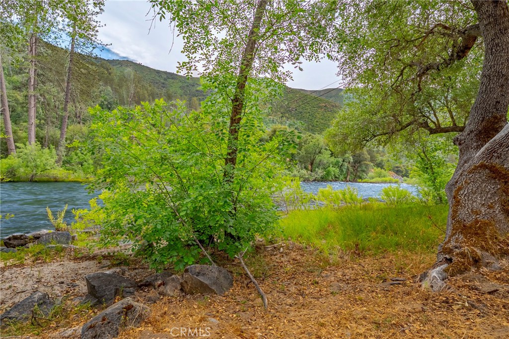 9977 Incline Road El Portal, CA 95318 - Photo 6 of 46 a view of a yard