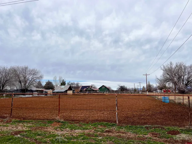 a view of road with large trees