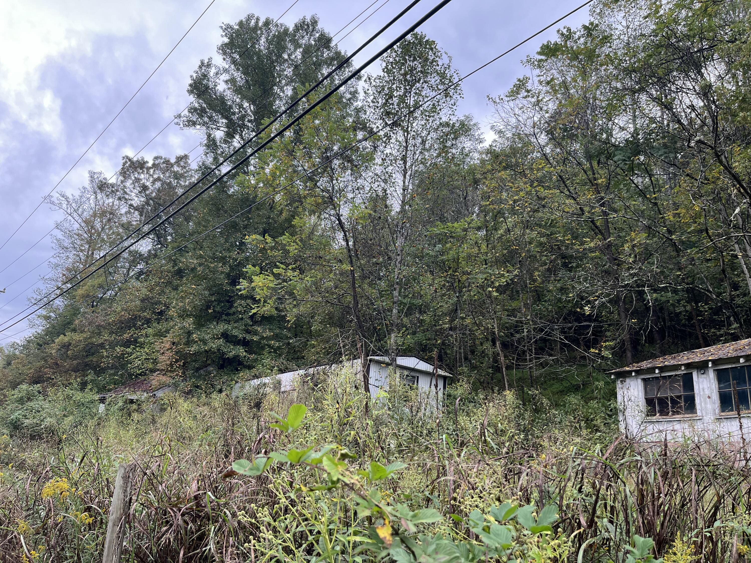 10685 Hardy Road Vinton, VA 24179 - Photo 2 of 6 a backyard of a house with lots of green space and fountain