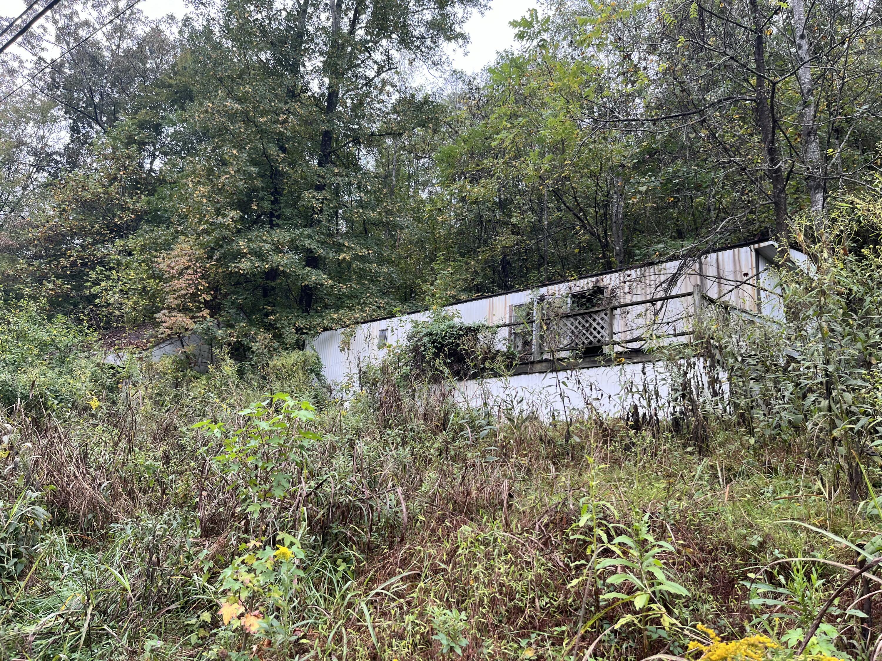 10685 Hardy Road Vinton, VA 24179 - Photo 3 of 6 a view of forest