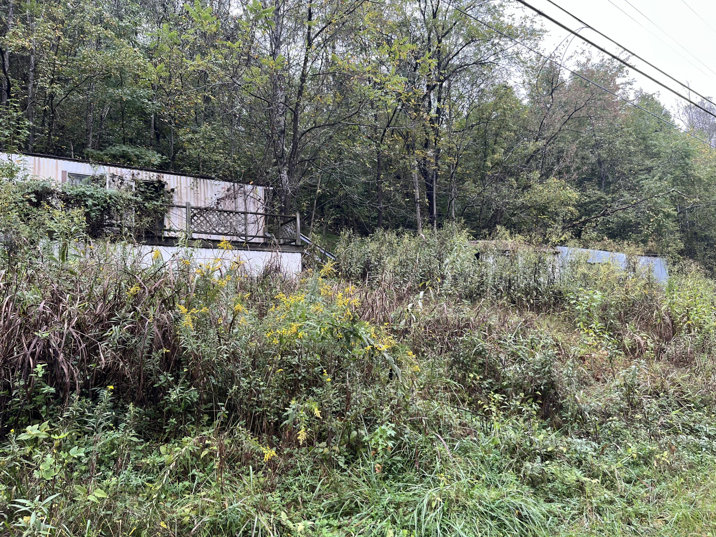10685 Hardy Road Vinton, VA 24179 - Photo 6 of 6 a view of a house with a yard