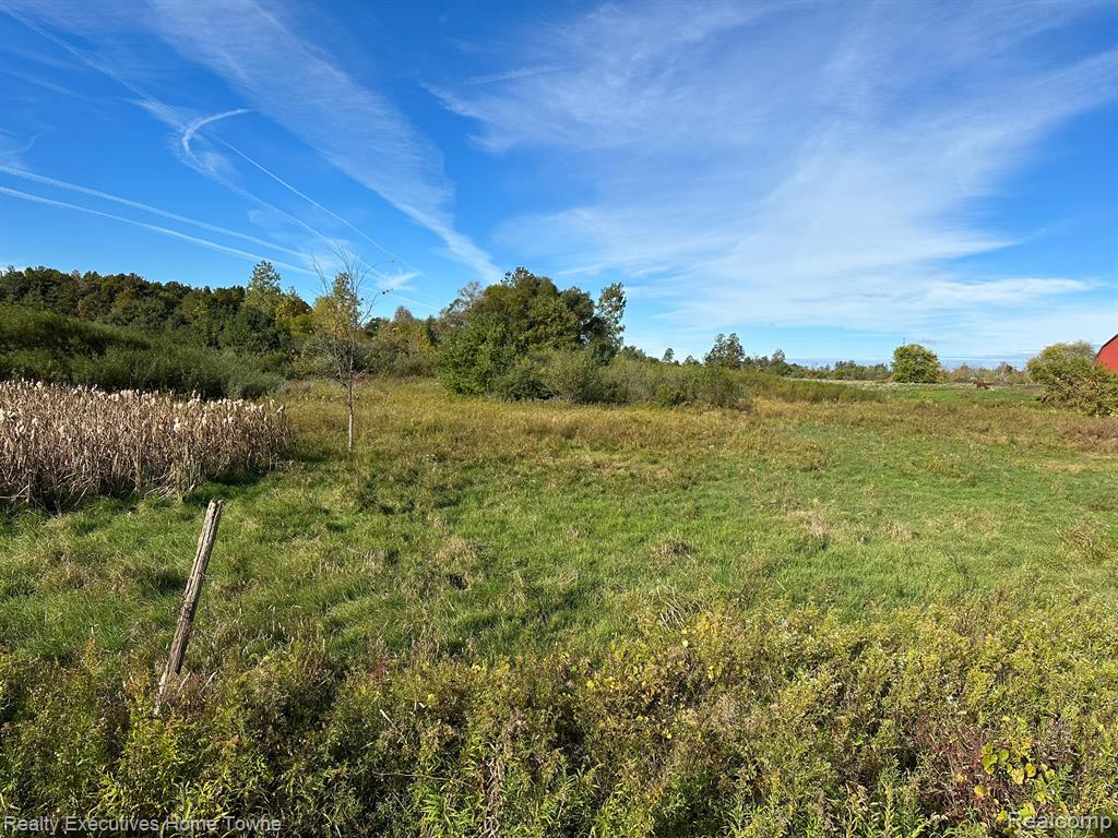 3 Wildcat Road Jeddo, MI 48032 - Photo 9 of 12 Gallery Image 9