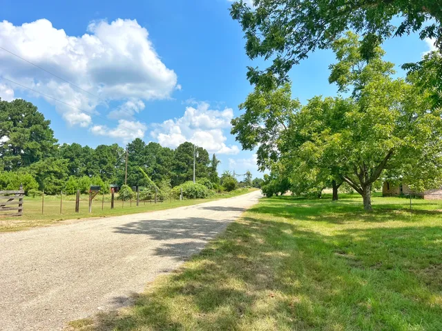 a view of grassy field with trees