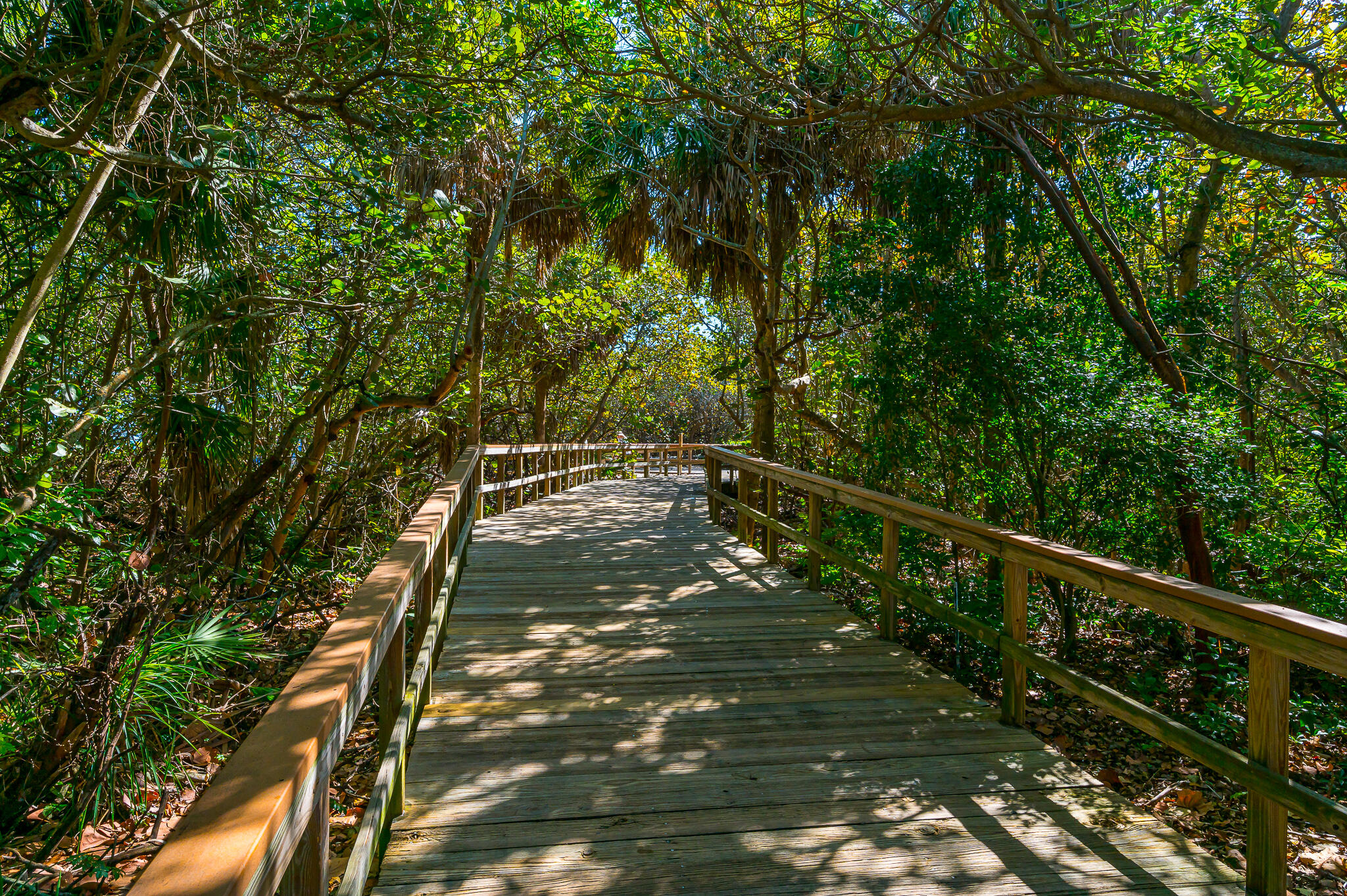 1111 South Ocean Boulevard, Unit 320 Boca Raton, FL 33432 - Photo 20 of 24 Walking Path to Beach