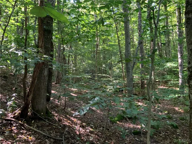 $199,500 | 0 Florence Hill Road, Unit 12, Camden, NY 13316