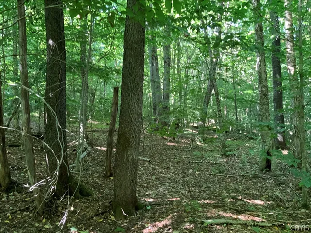 $199,500 | 0 Florence Hill Road, Unit 12, Camden, NY 13316