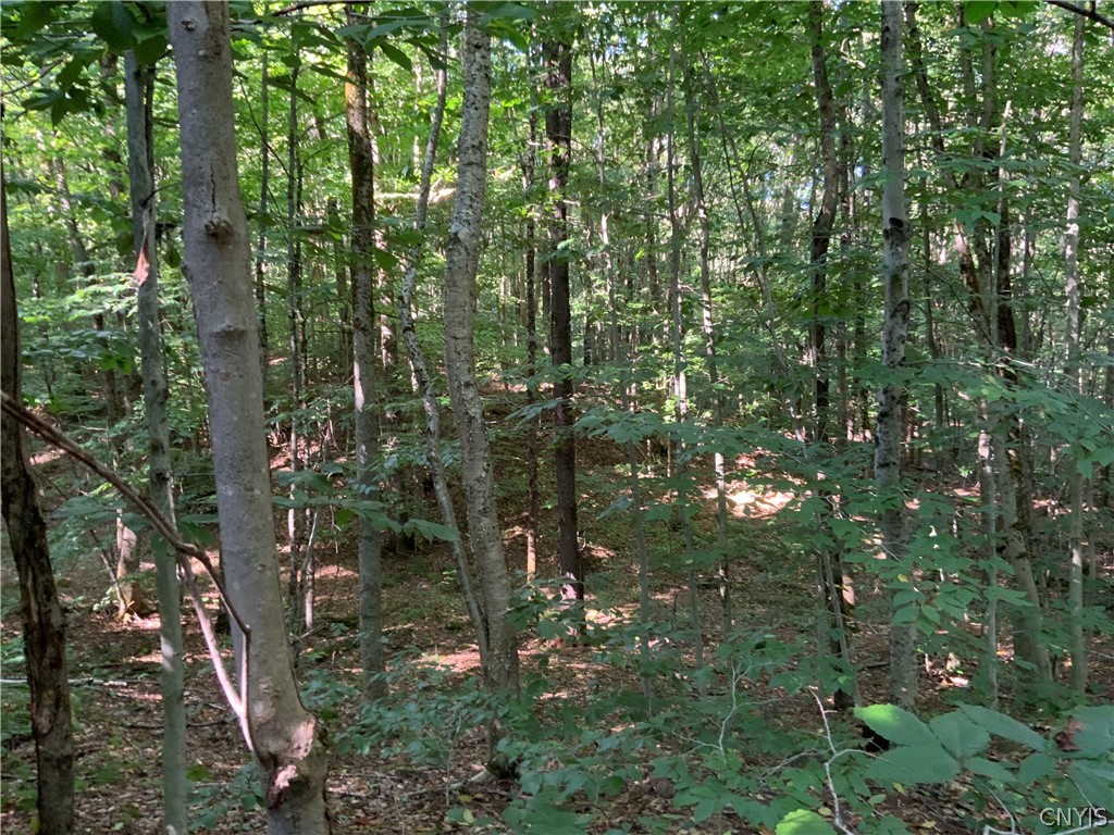 0 Florence Hill Road, Unit 12 Camden, NY 13316 - Photo 43 of 49