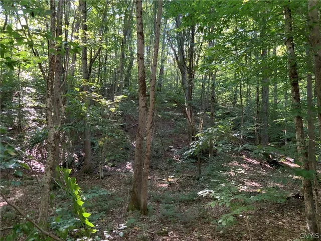 $199,500 | 0 Florence Hill Road, Unit 12, Camden, NY 13316