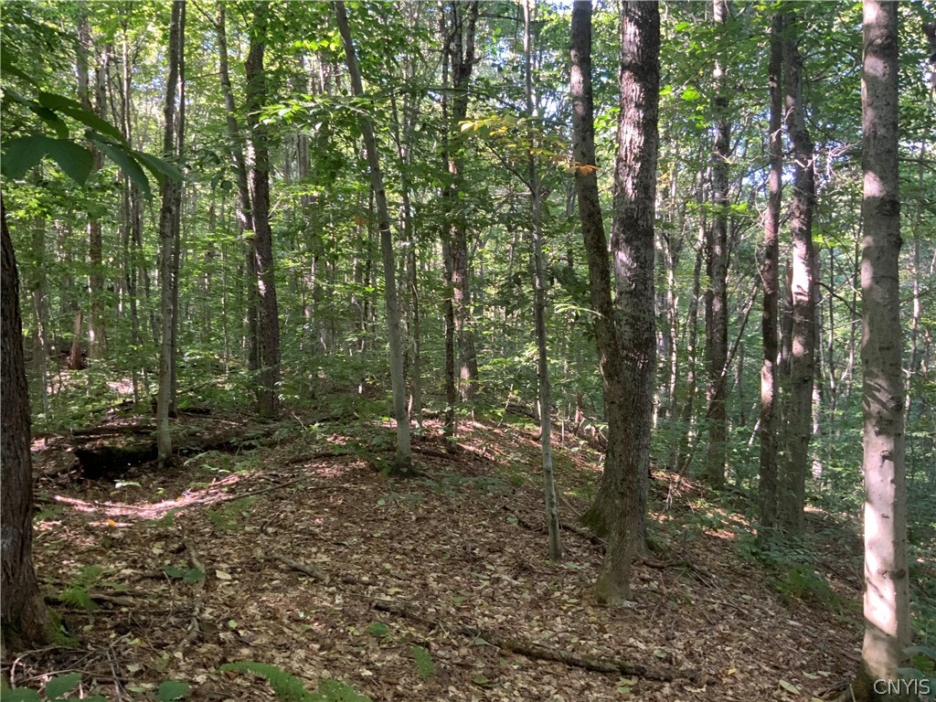 0 Florence Hill Road, Unit 12 Camden, NY 13316 - Photo 45 of 49
