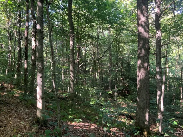 $199,500 | 0 Florence Hill Road, Unit 12, Camden, NY 13316