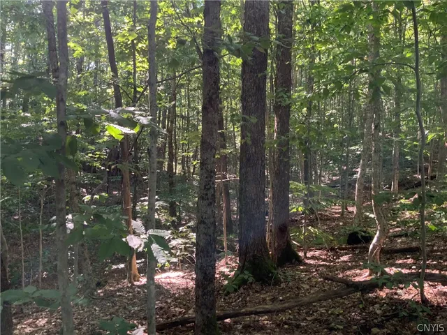 $199,500 | 0 Florence Hill Road, Unit 12, Camden, NY 13316