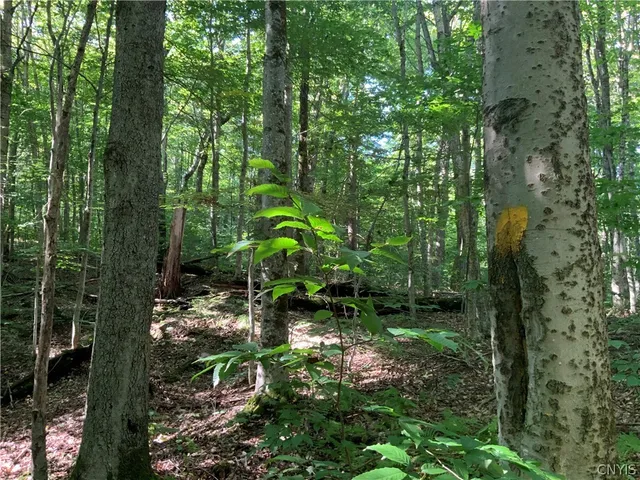 $199,500 | 0 Florence Hill Road, Unit 12, Camden, NY 13316