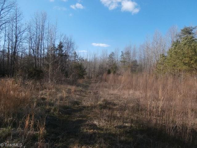 3703 Garner Road Snow Camp, NC 27349 - Photo 22 of 30 Gallery Image 22
