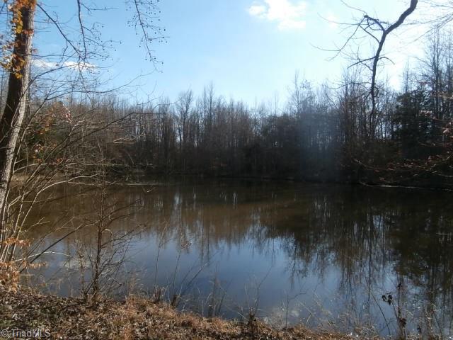 3703 Garner Road Snow Camp, NC 27349 - Photo 27 of 30 Gallery Image 27