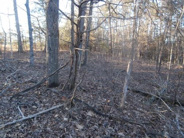 3703 Garner Road Snow Camp, NC 27349 - Photo 28 of 30 Gallery Image 28