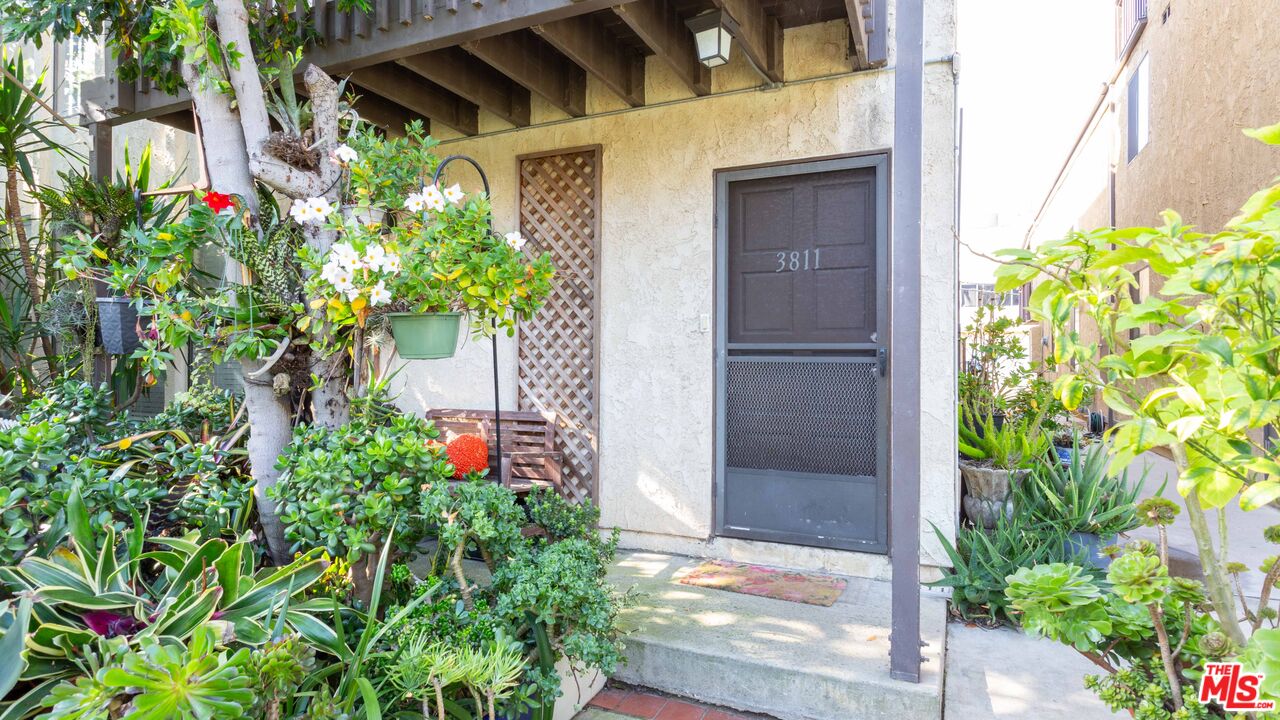 3809 Gran Corso Venice, CA 90292 - Photo 10 of 19 a plant that is in front of a house