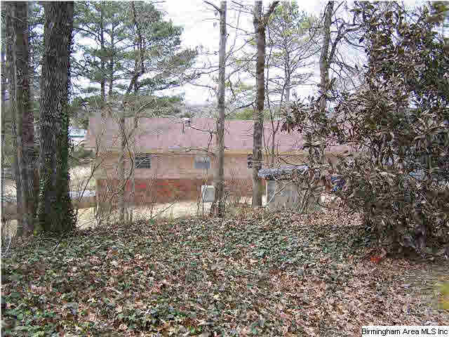 1194 Robin Hill Road Oneonta, AL 35121 - Photo 20 of 29 Gallery Image 20
