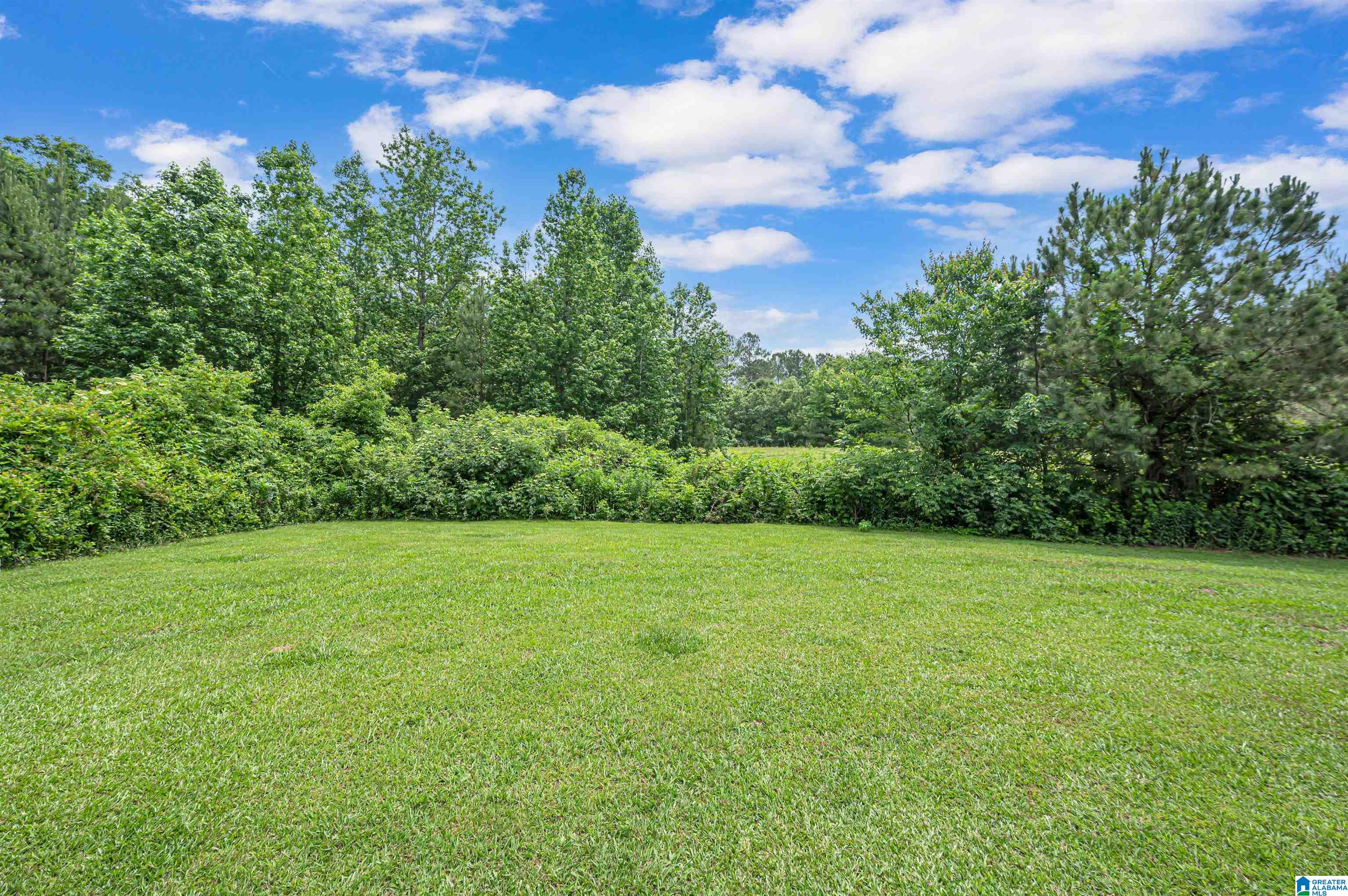 381 Hunters Crossing Road Odenville, AL 35120 - Photo 30 of 48