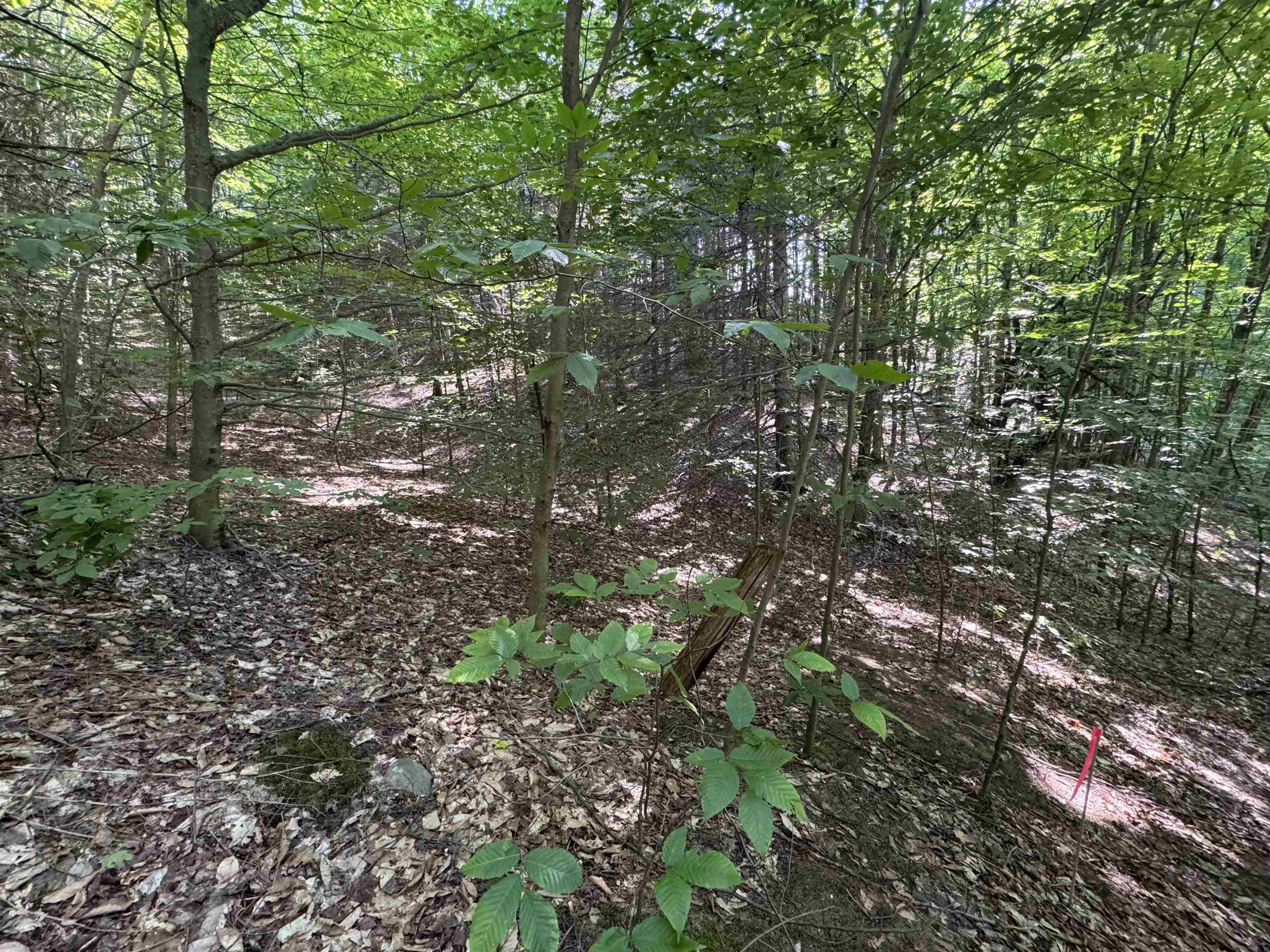 Lot #6 East Bellinger Road, Unit 6 BELLINGER ESTATES (FIN) Cedar, MI 49621 - Photo 18 of 34