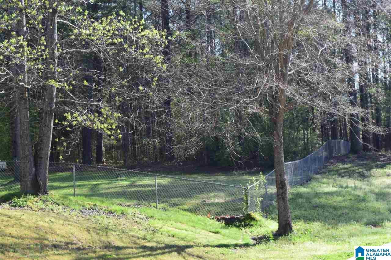 9147 Thermal Road Warrior, AL 35180 - Photo 3 of 44