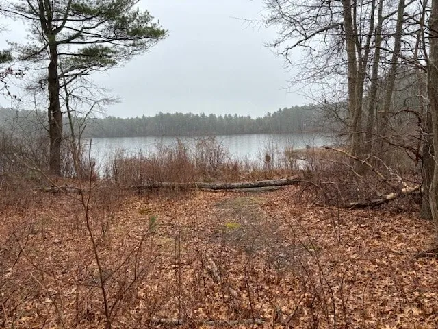 a view of a lake from a yard
