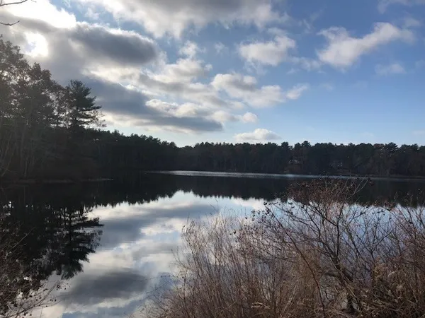 a view of a lake