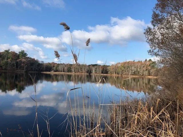 a view of a lake with mountain in the back