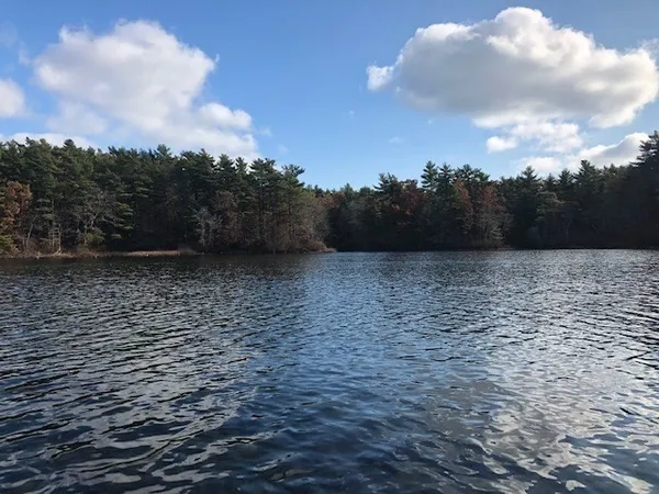 a view of a lake