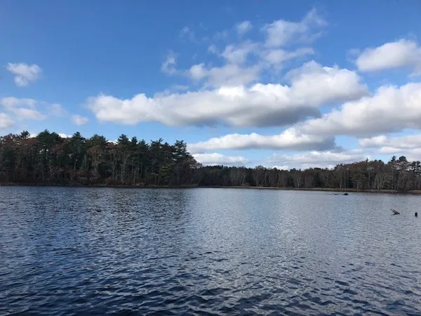 a view of a backyard of the house