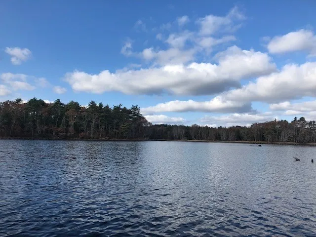 a view of a backyard of the house