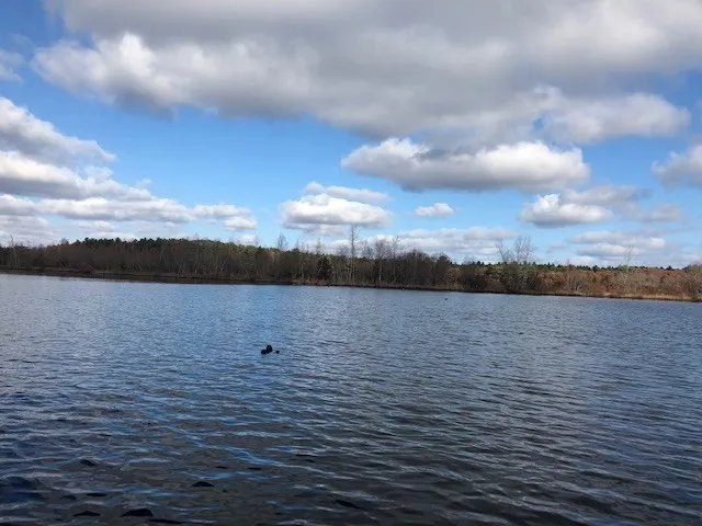 a view of a lake view and mountain view