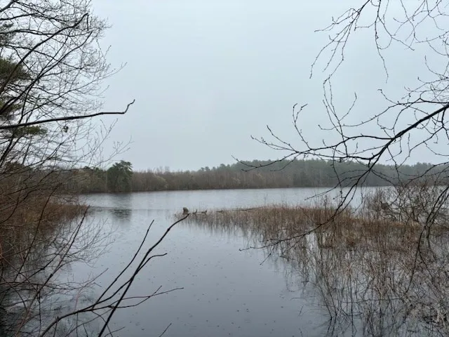 a view of lake with green space
