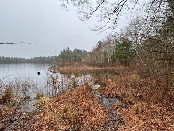 a view of lake with green space