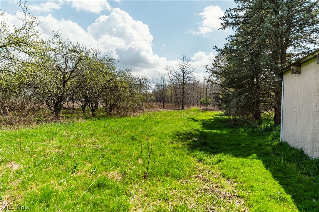 2483 Steiner Road Creston, OH 44217 - Photo 18 of 45