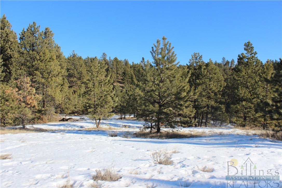 Lot 33 Pinecrest Road Columbus, MT 59019 - Photo 1 of 1 Gallery Image 1