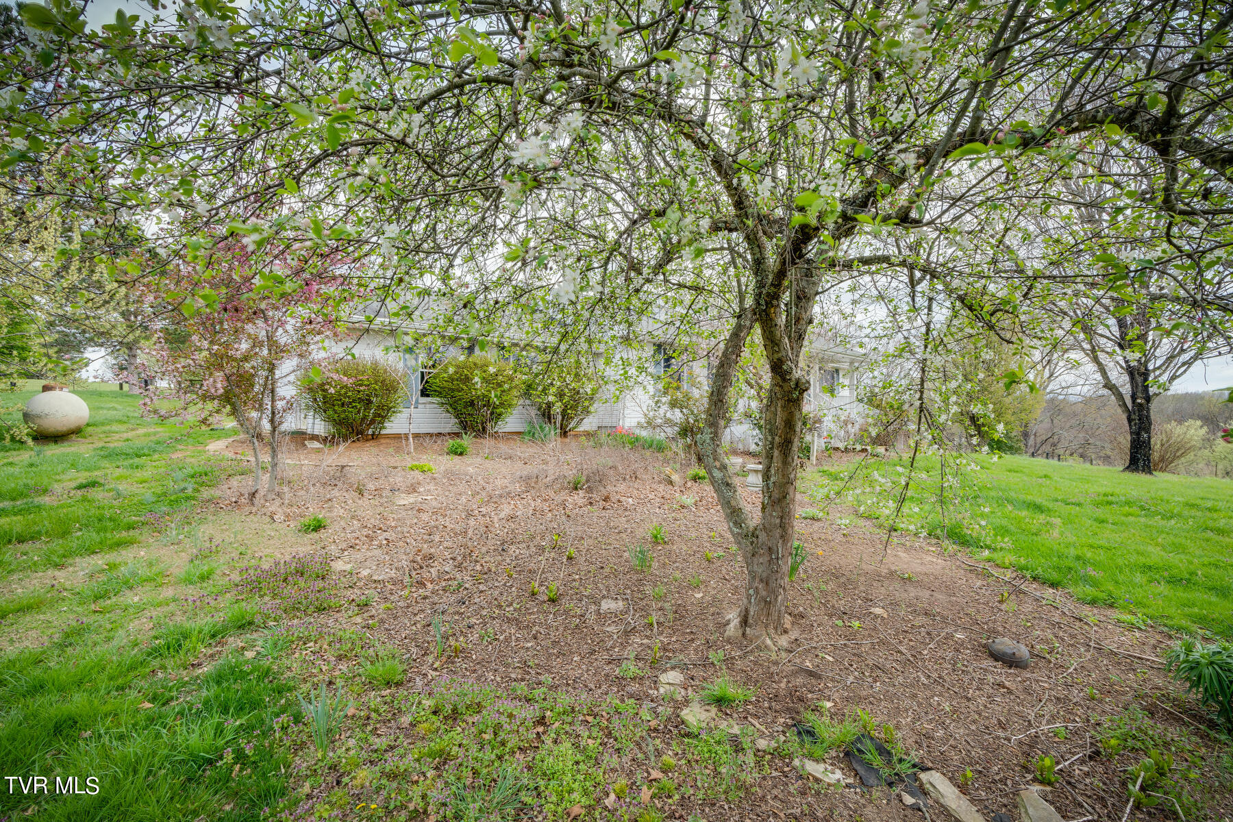 2120 Bright Hope Road Greeneville, TN 37743 - Photo 2 of 62 002